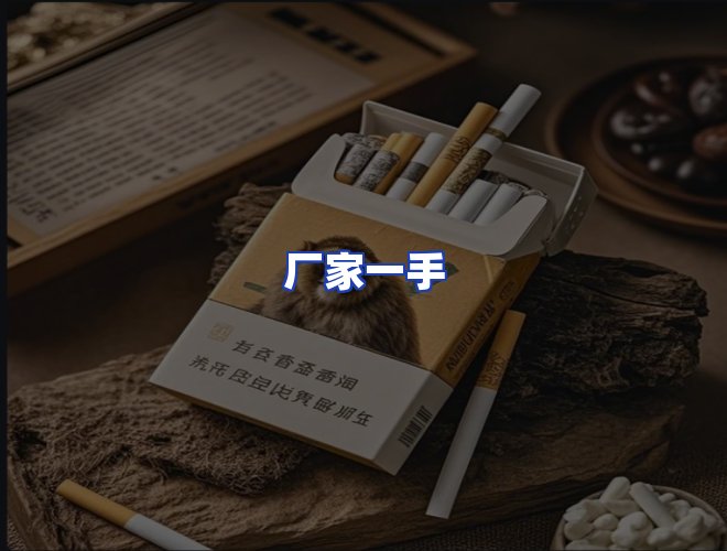 专业团队
